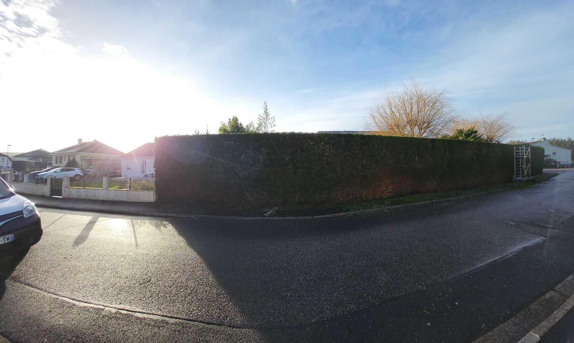 Rue de banlieue ensoleillée avec une haute haie, un trottoir mouillé, des voitures garées et un panneau stop à droite