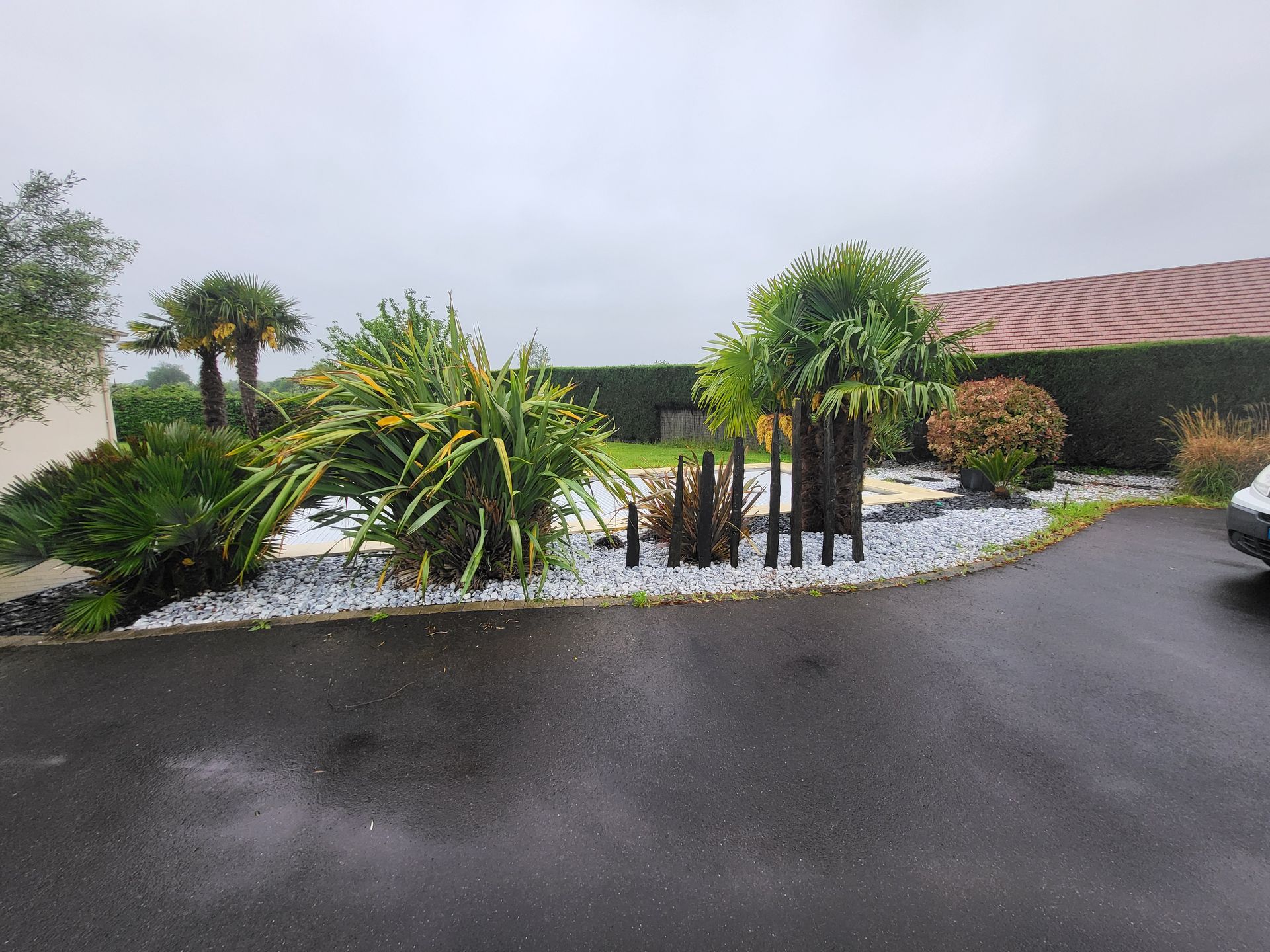 Aménagement paysager tropical avec palmiers, rochers blancs et allée mouillée sous un ciel couvert.