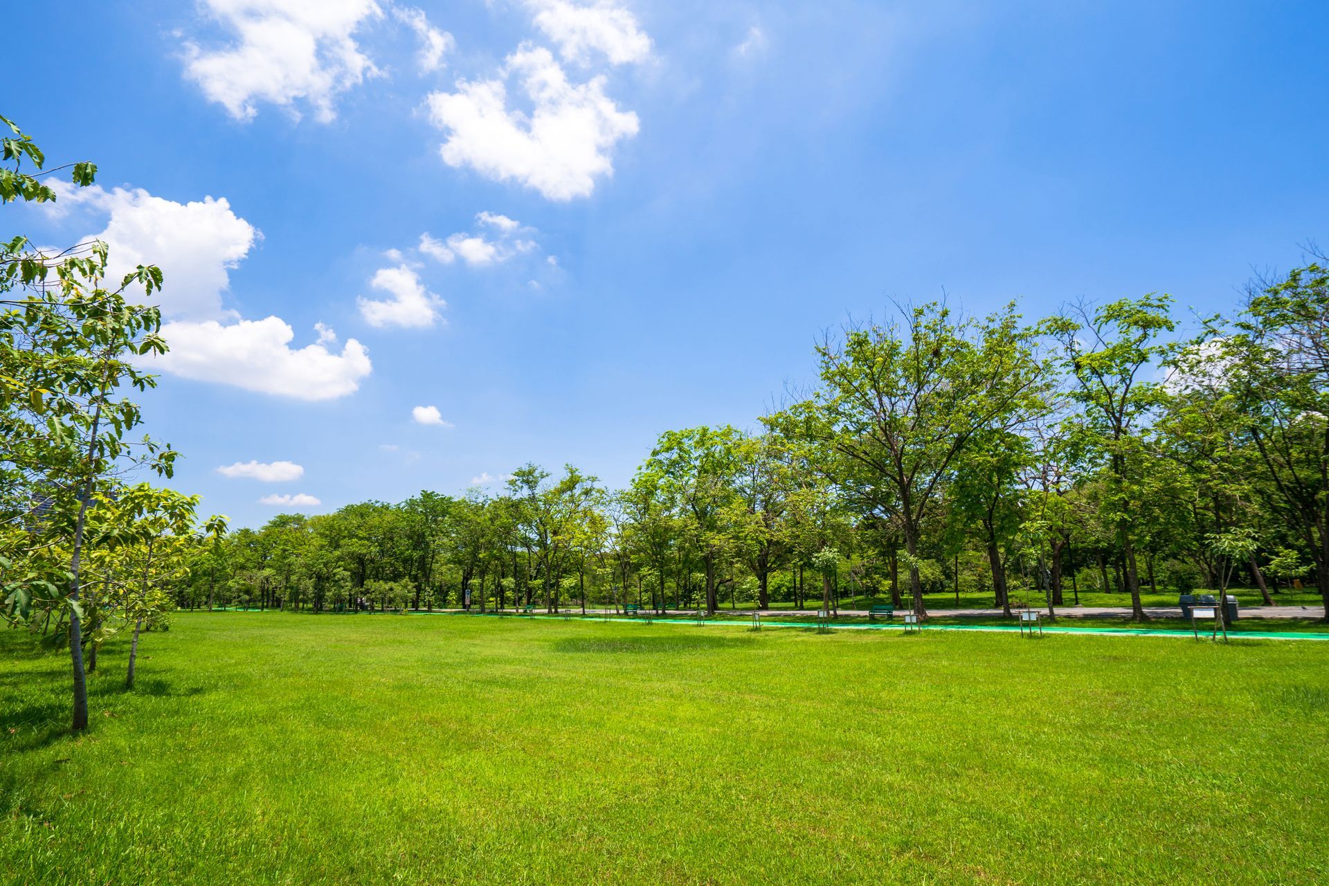 Champ d'herbe verte avec des arbres sous un ciel bleu vif avec des nuages blancs duveteux.
