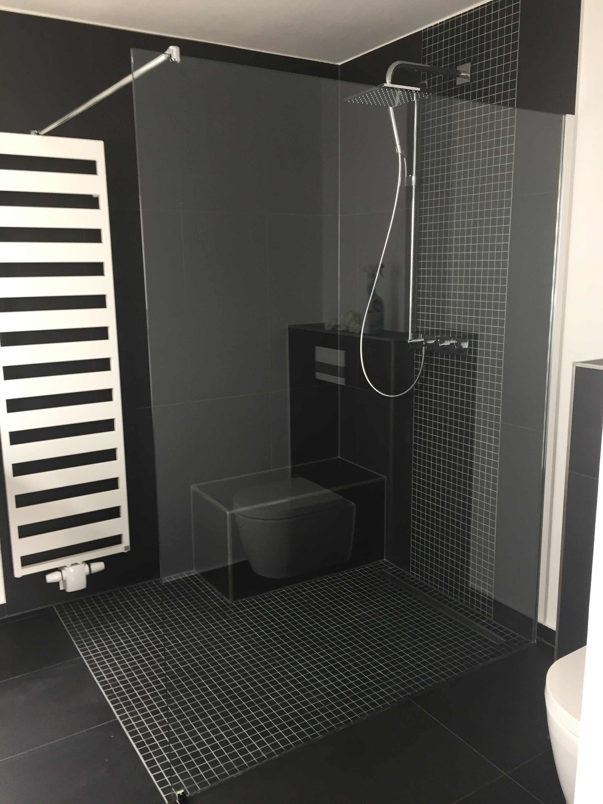 Ein Badezimmer mit ebenerdiger Dusche und Toilette.