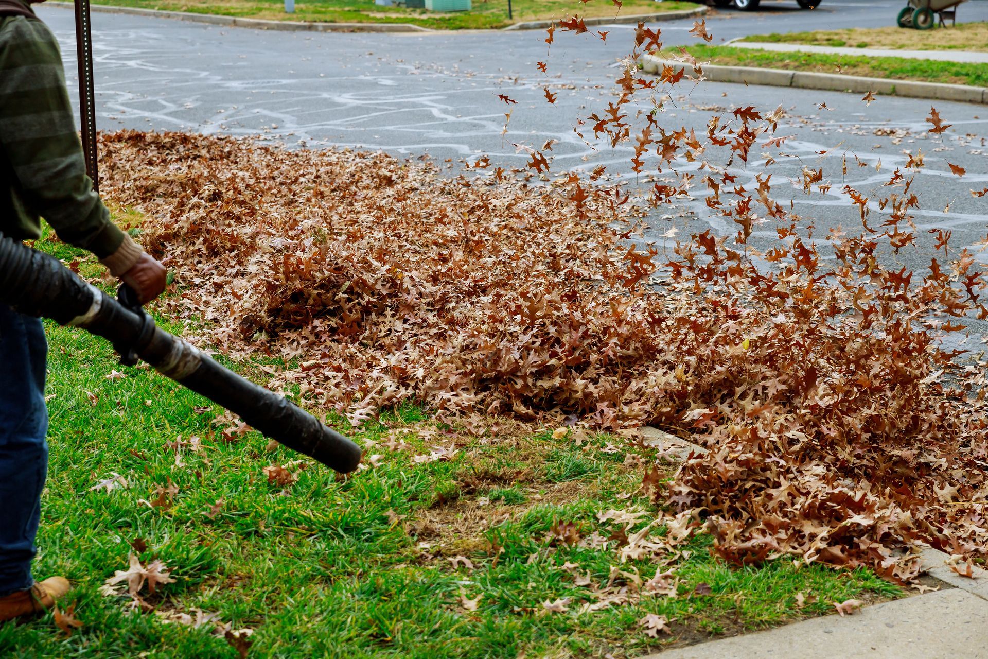 Une personne souffle des feuilles mortes de la pelouse vers la rue à l'aide d'un souffleur à feuilles.