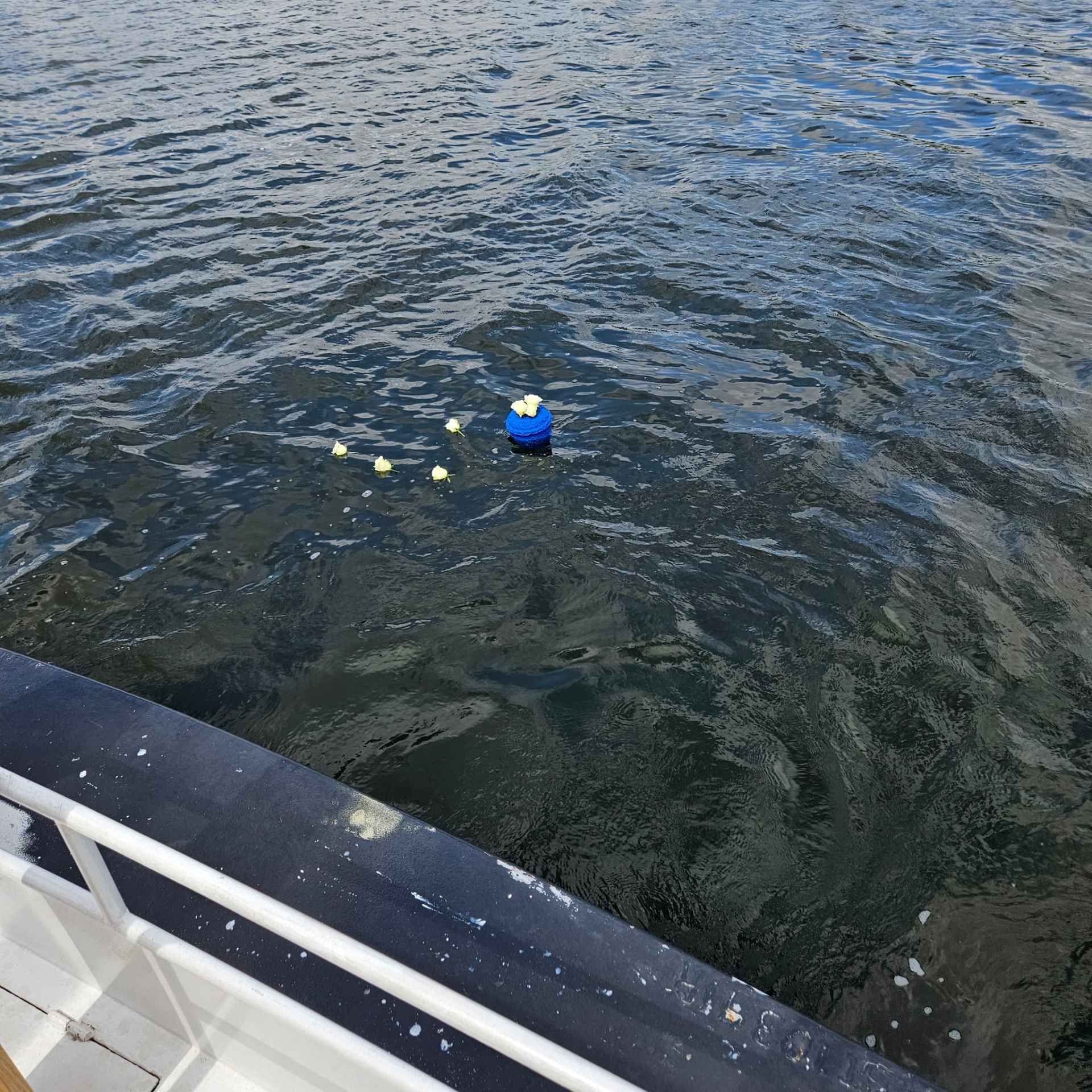 Blaue Boje mit weißen Blumen schwimmt auf dem Wasser, vom Boot aus gesehen.
