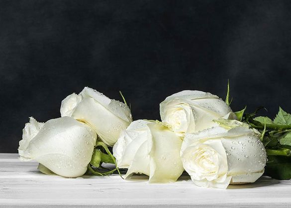 Un ramo de rosas blancas está sobre una mesa blanca.