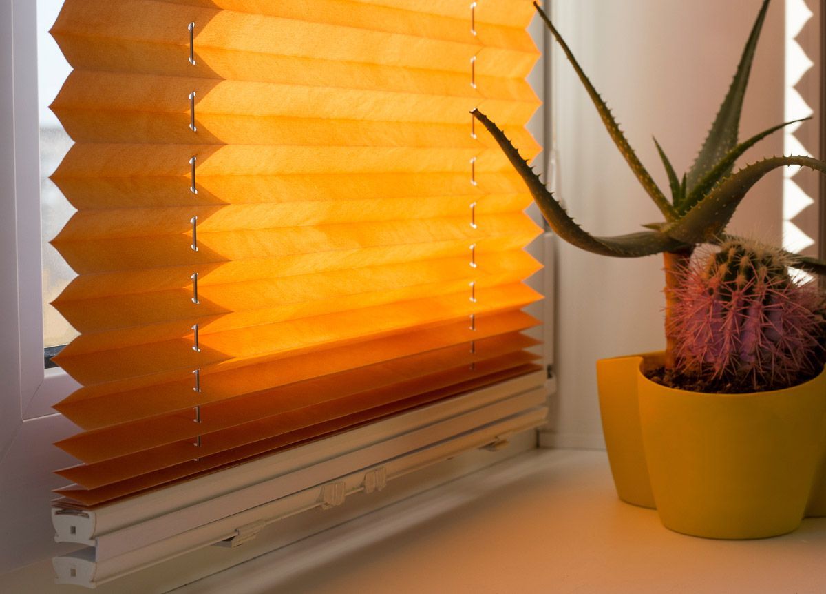 ein Kaktus in einem gelben Topf steht neben einem Fenster mit orangefarbenen Vorhängen - Sonnenschutz von Koke Raumausstattung - Tobias Liebrand - vor Ort in Senden und Lüdinghausen