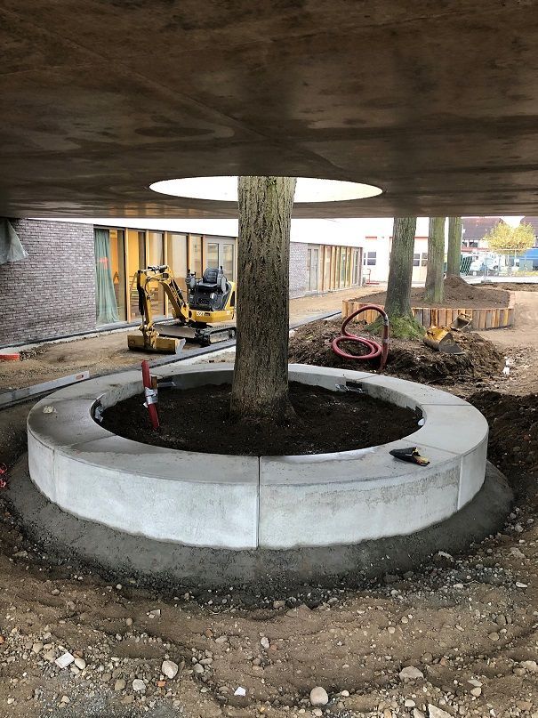 Bordure d'arbre en béton