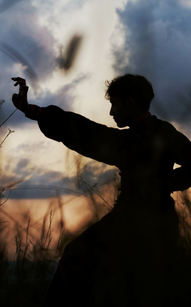 Silhouette d'une personne en position d'arts martiaux à l'extérieur.