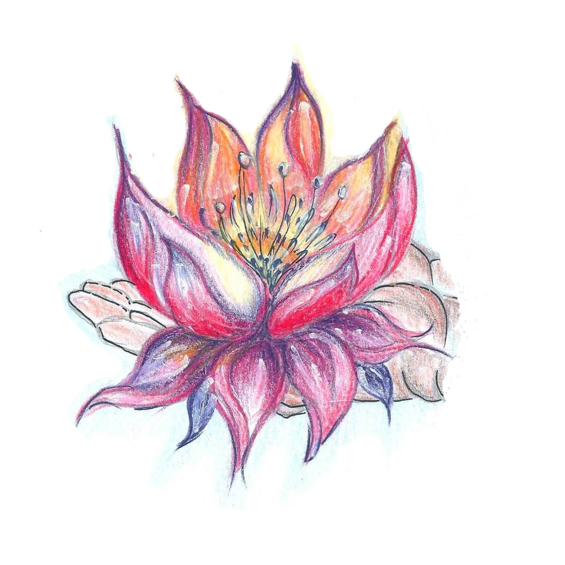 Logo - Lotus-Oase in Kriens