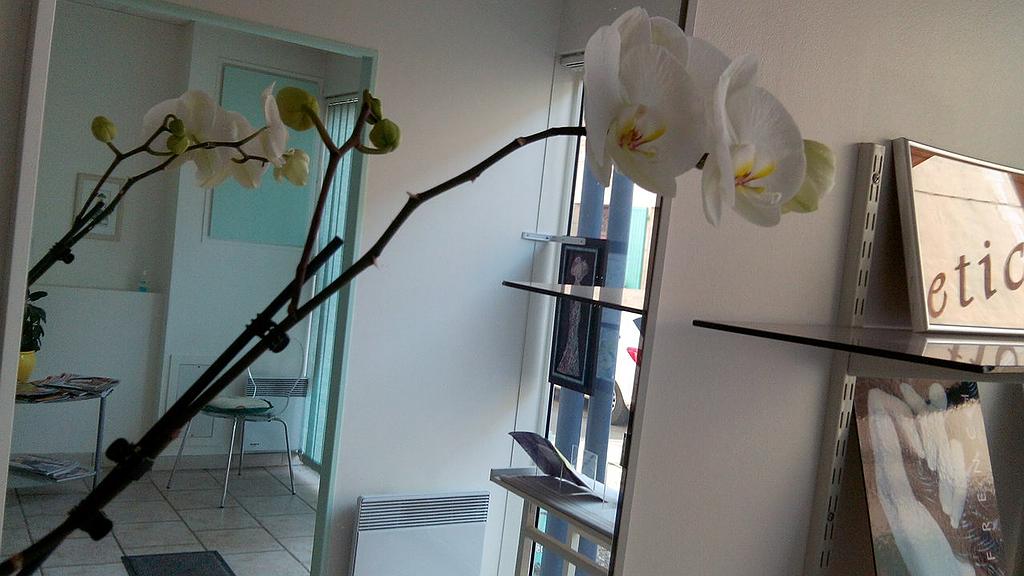 Pastel' Esthetic, votre institut Votre esthéticienne près de Marsaneix