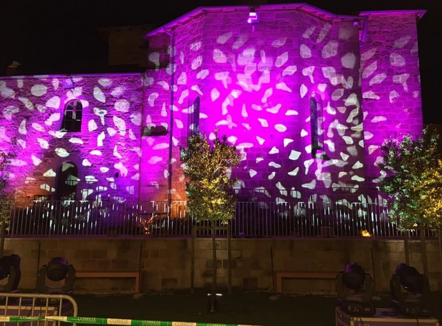 Bâtiment illuminé en violet avec des motifs blancs en forme de feuilles la nuit.