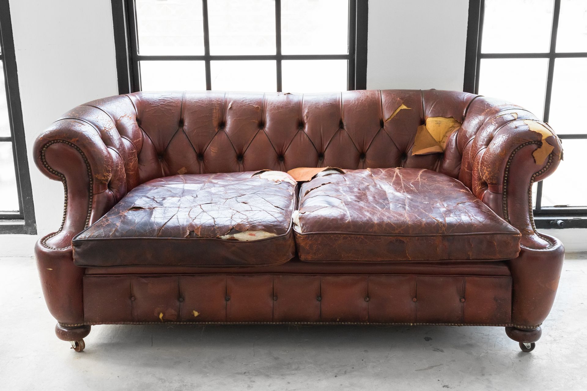 Un canapé Chesterfield en cuir marron usé, avec des détails capitonnés et d'importantes déchirures, placé devant deux fenêtres.