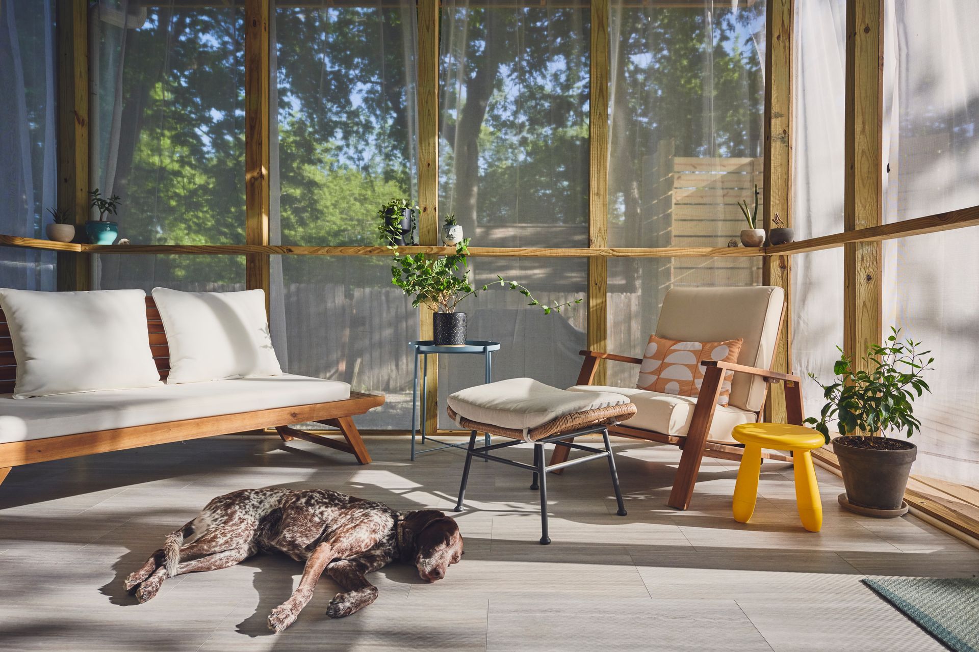 Chien endormi sur un tapis dans une véranda ensoleillée avec moustiquaires, avec un canapé blanc, un fauteuil et des plantes en pot.