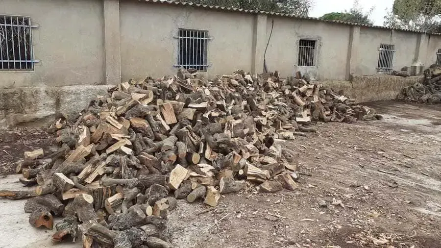 Pila de leña cortada delante de un edificio de color claro con ventanas enrejadas.