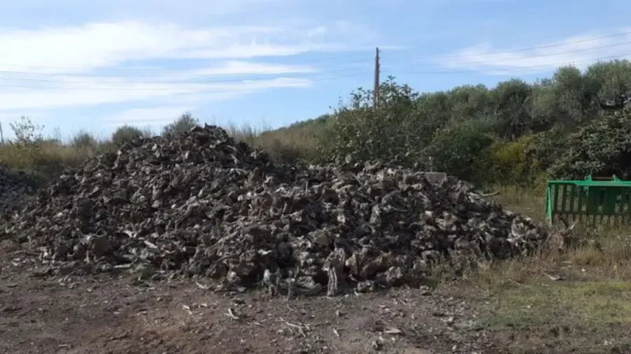 Gran montón de material orgánico oscuro sobre un suelo de tierra, con árboles y una chimenea al fondo bajo un cielo azul.