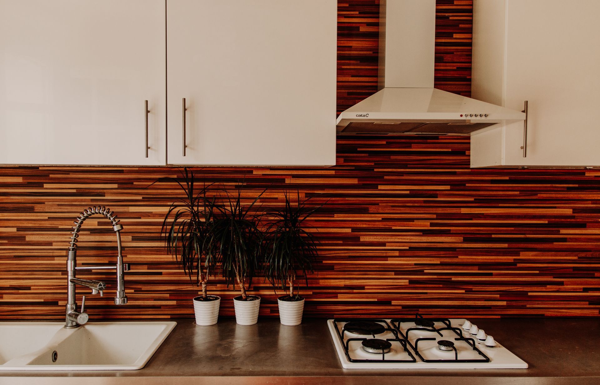Cuisine moderne avec placards blancs, crédence en carrelage brun orangé, évier, plantes et plaque de cuisson.