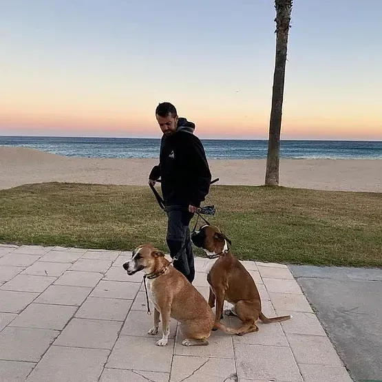 Un hombre está de pie junto a dos perros en una acera cerca de la playa.