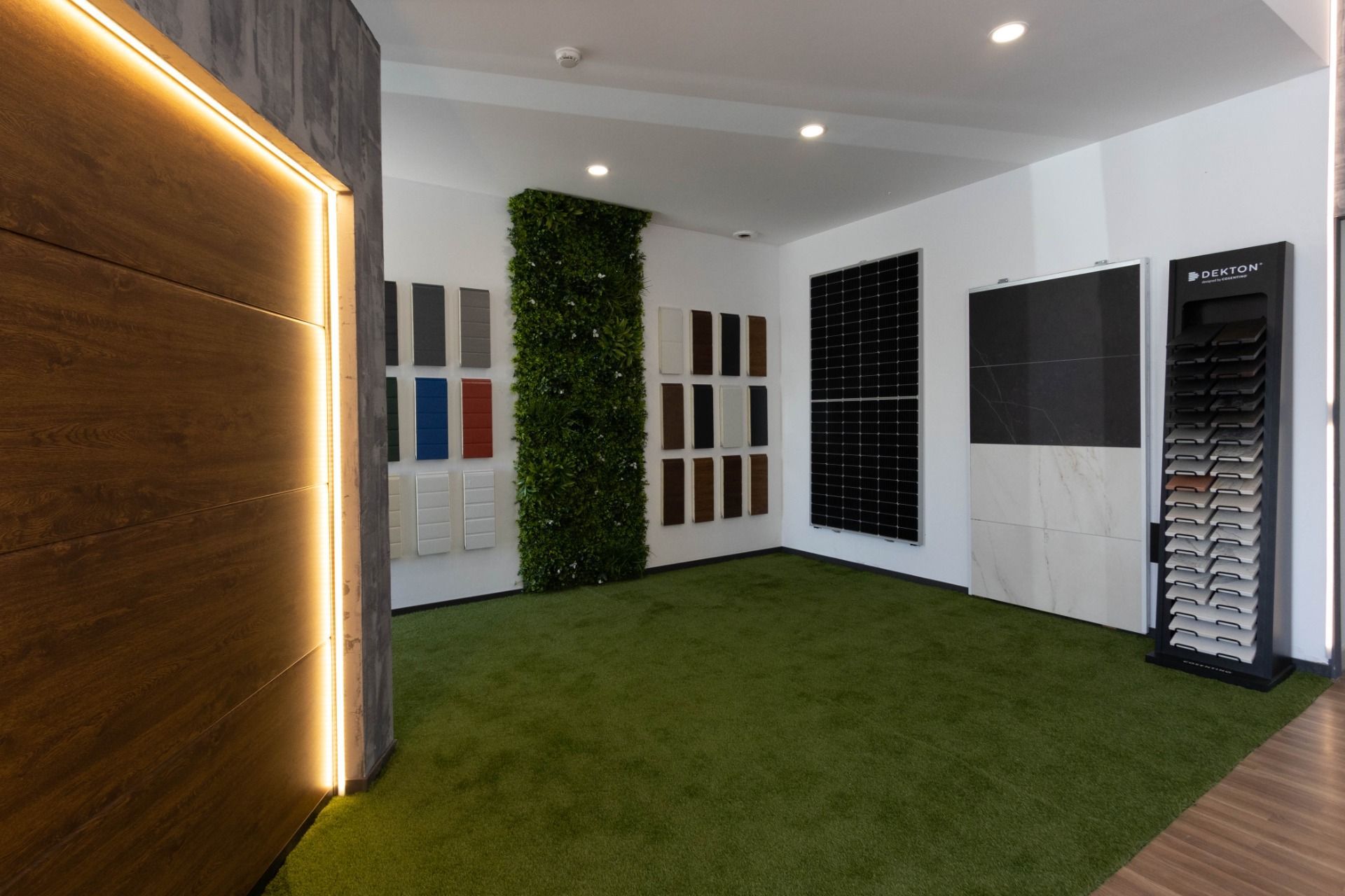 A room with a lot of windows and a green carpet.