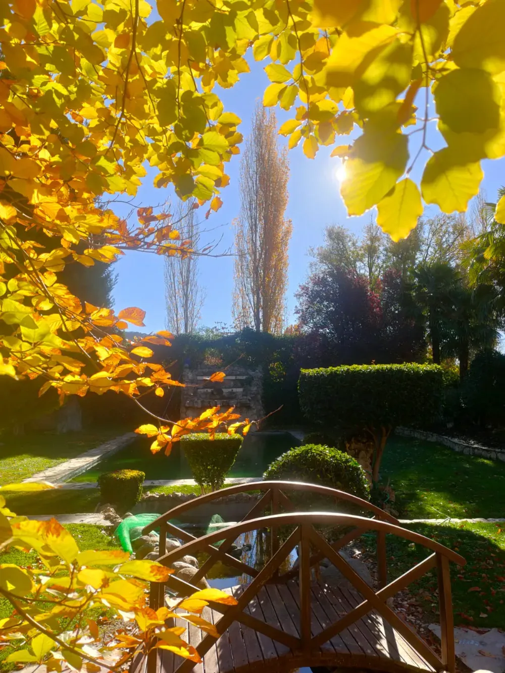 Un puente peatonal de madera con arcos en un jardín soleado, con un vibrante follaje otoñal amarillo que enmarca el cielo azul.