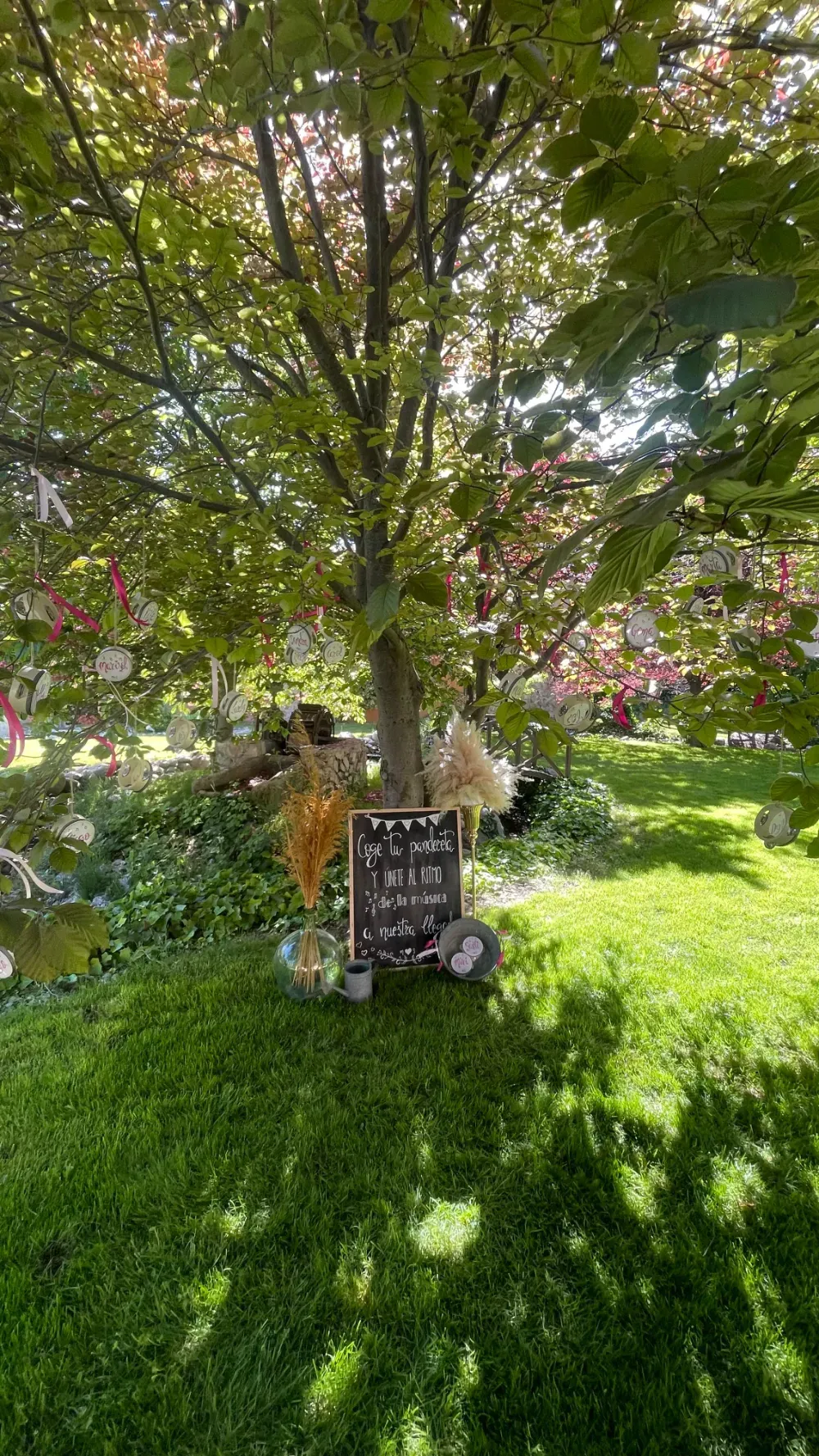 Un cartel de pizarra se encuentra al pie de un árbol, rodeado de arreglos florales secos en un entorno soleado y verde al aire libre.