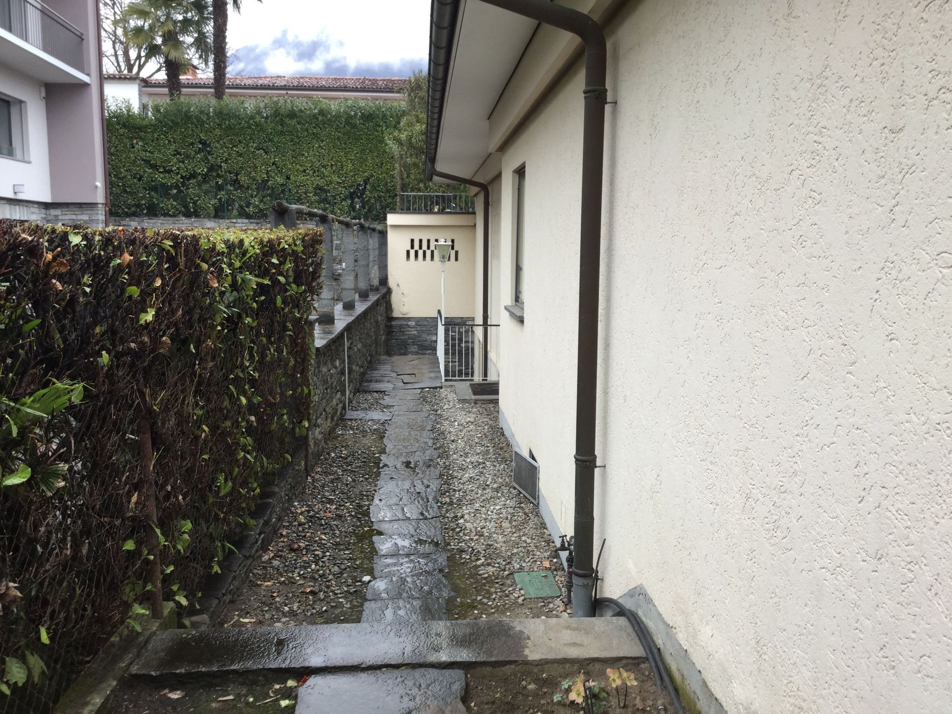 Brontallina – Valeggia&Panzera