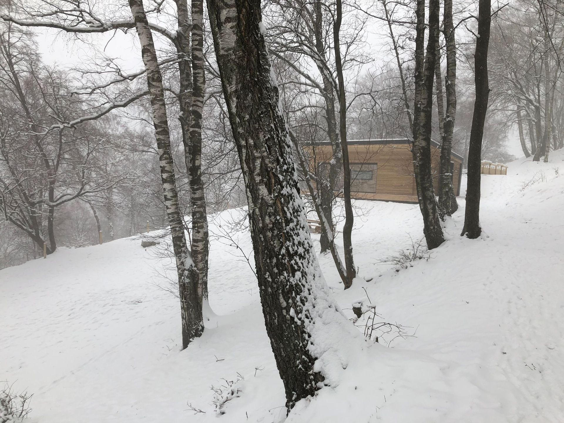 ValeggiaPanzera e associati Sagl - istituto di credito Lugano - Architettura, studi · Architettura d'interni - Collaboratore esterno Giovanni Rizzi - Industriale Mendrisio - Design industriale, design del prodotto · Progettazione architettonica - Lugano - Ticino