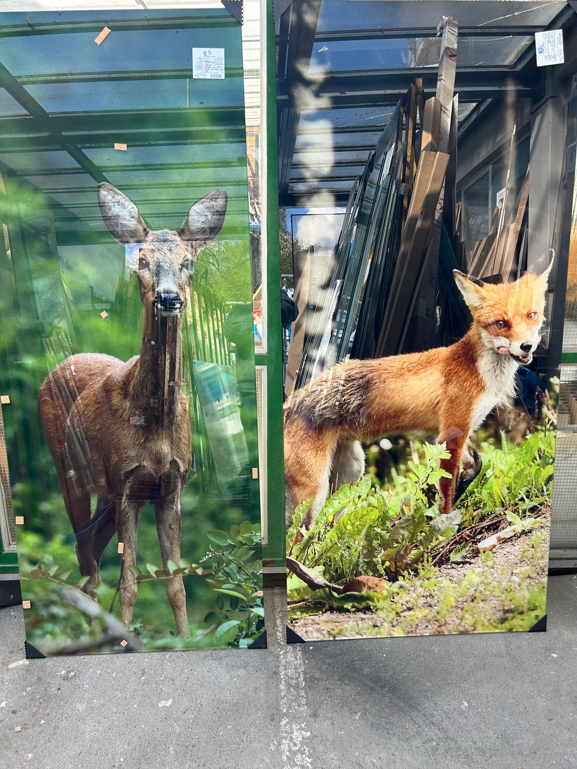 Dekorglas mit geätztem Tiere-Motive als.