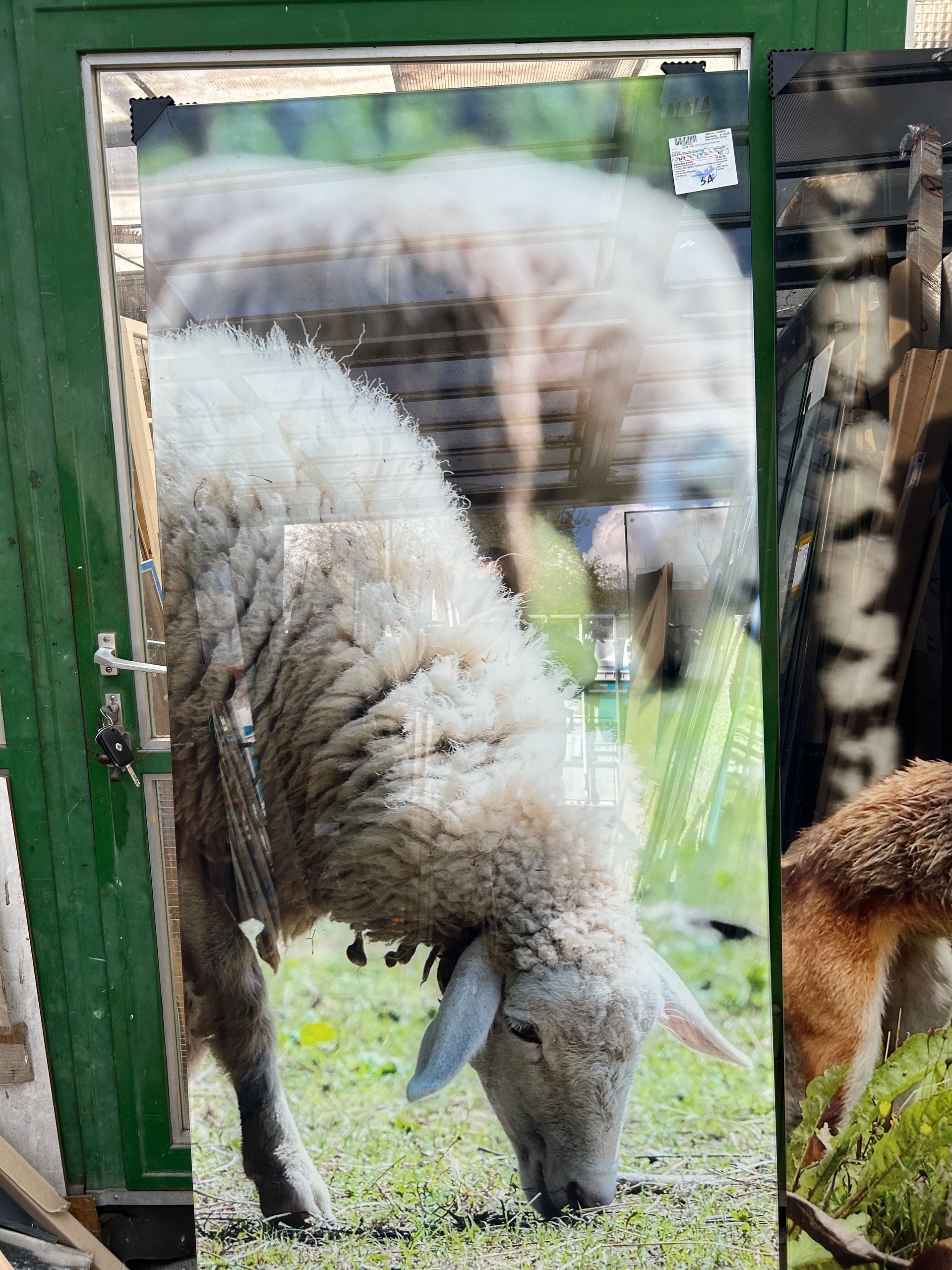 Dekorglas mit geätztem Scharf-Motiv als.