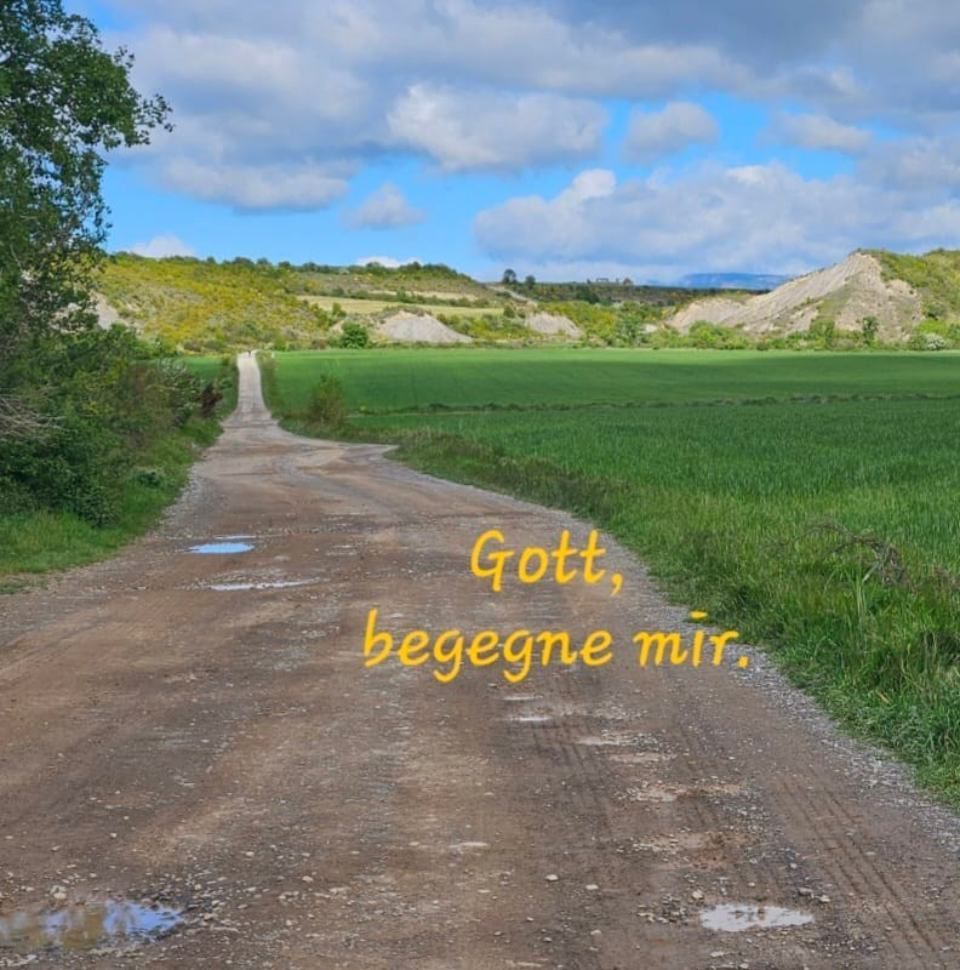Ein Feldweg durch eine Wiese mit den Worten „Gott beegne mir“ darauf geschrieben. Mom & Son