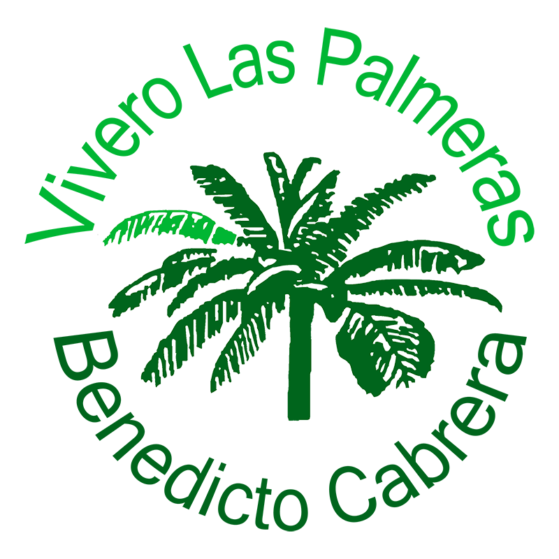 logotipo cabecera
