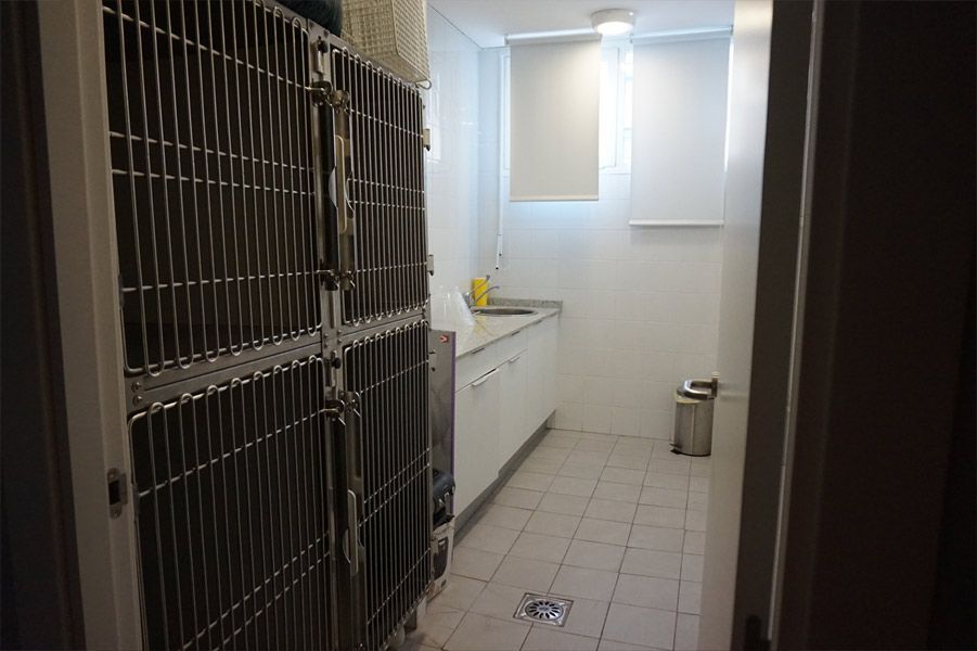Una habitación con una jaula y un lavabo dentro.