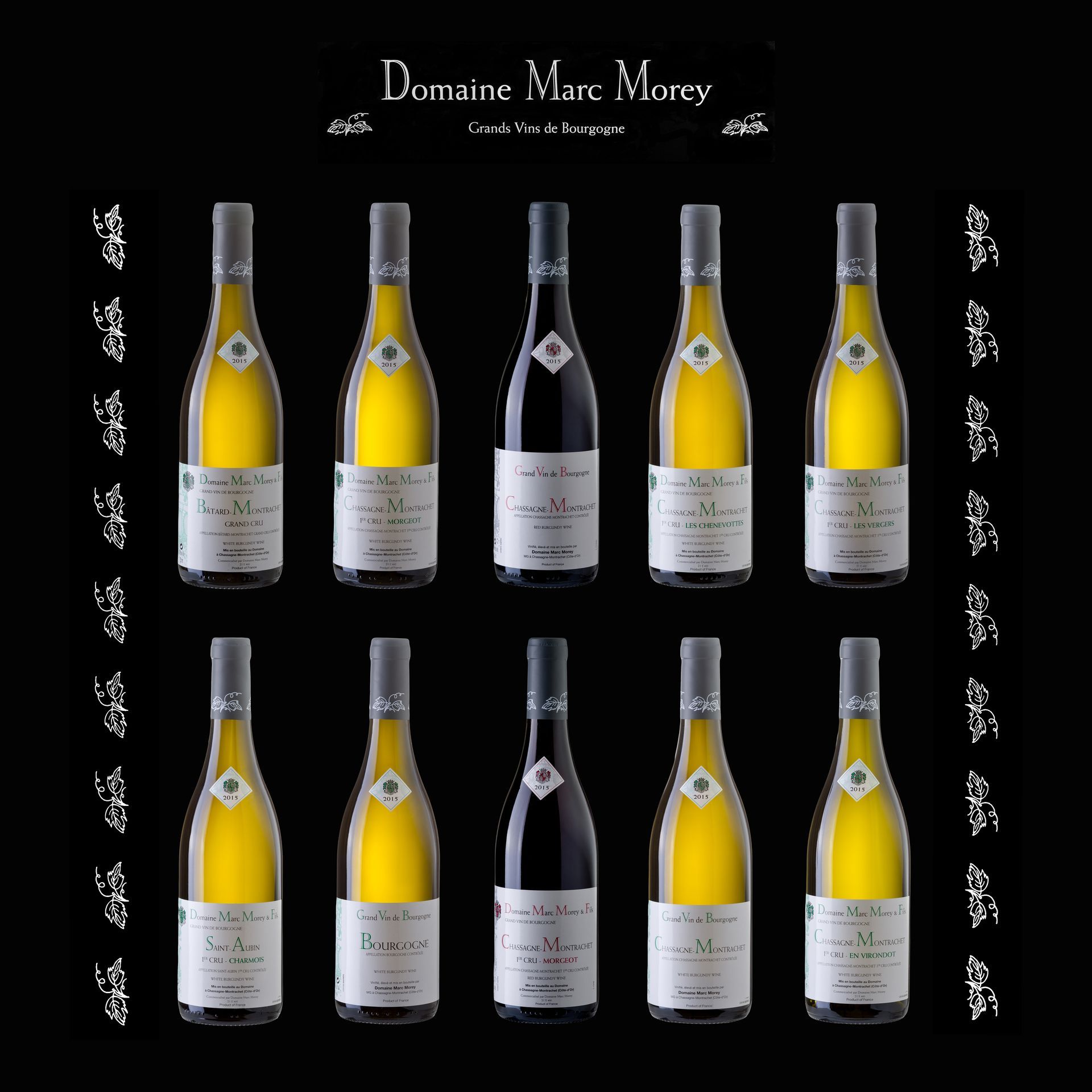 Infographie avec des appellations de vins du domaine