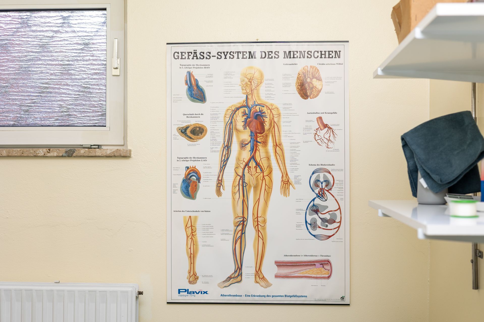 Ein Poster des menschlichen Körpers hängt an einer Wand