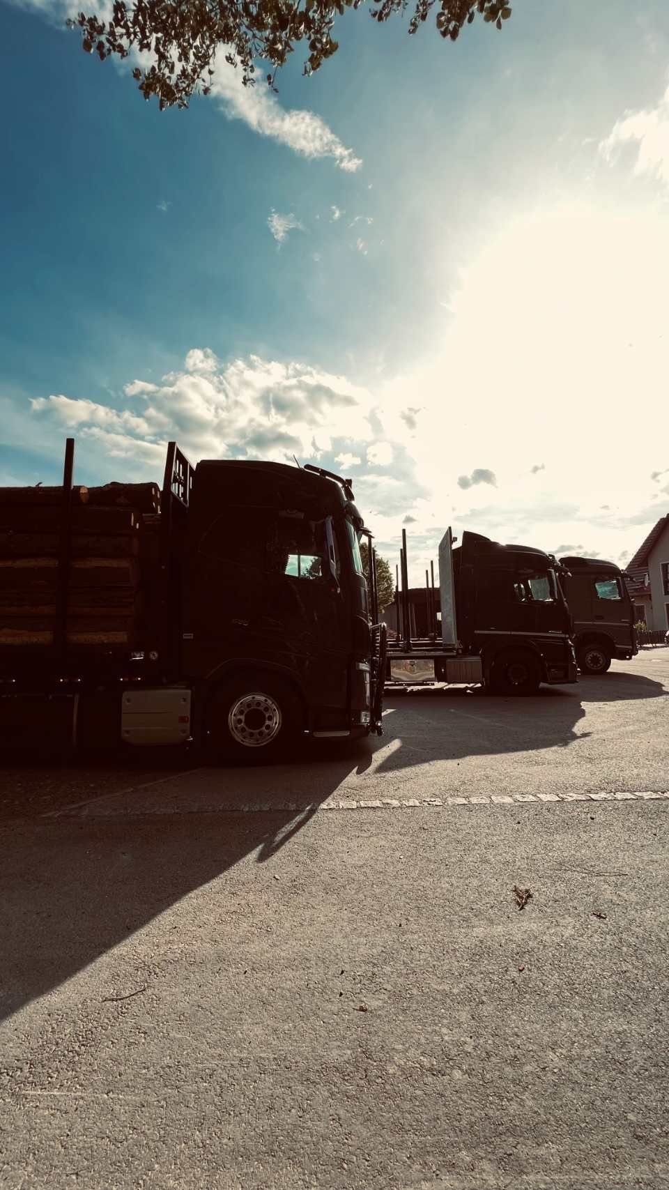 Holz wird mit Lkws transportiert, Anton Reindl Holztransporte und Holzhandel