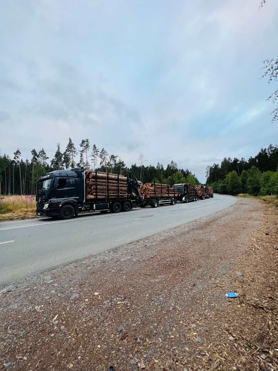 Holz wird mit Lkws transportiert, Anton Reindl Holztransporte und Holzhandel