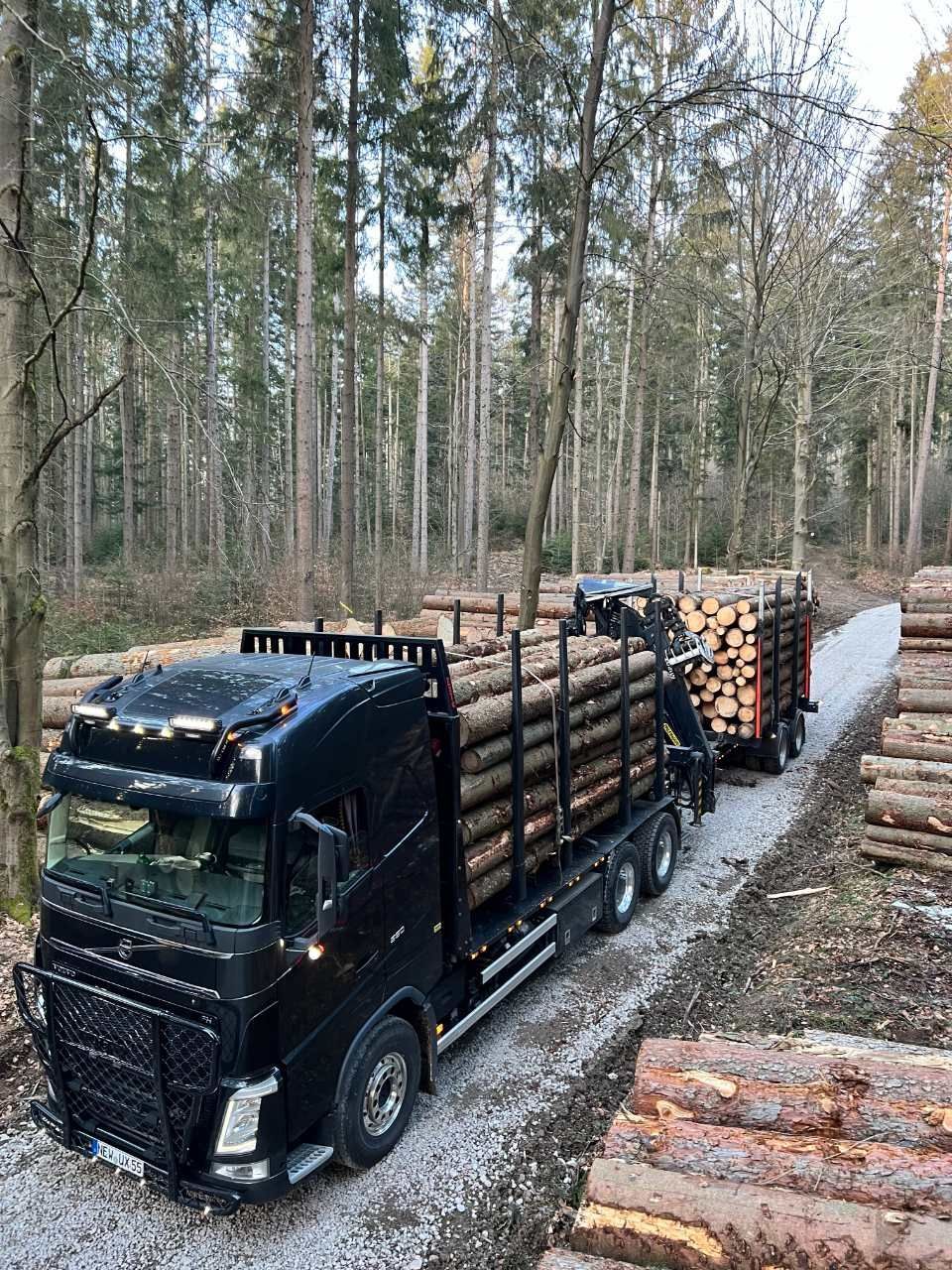 Holz wird mit Lkws transportiert, Anton Reindl Holztransporte und Holzhandel