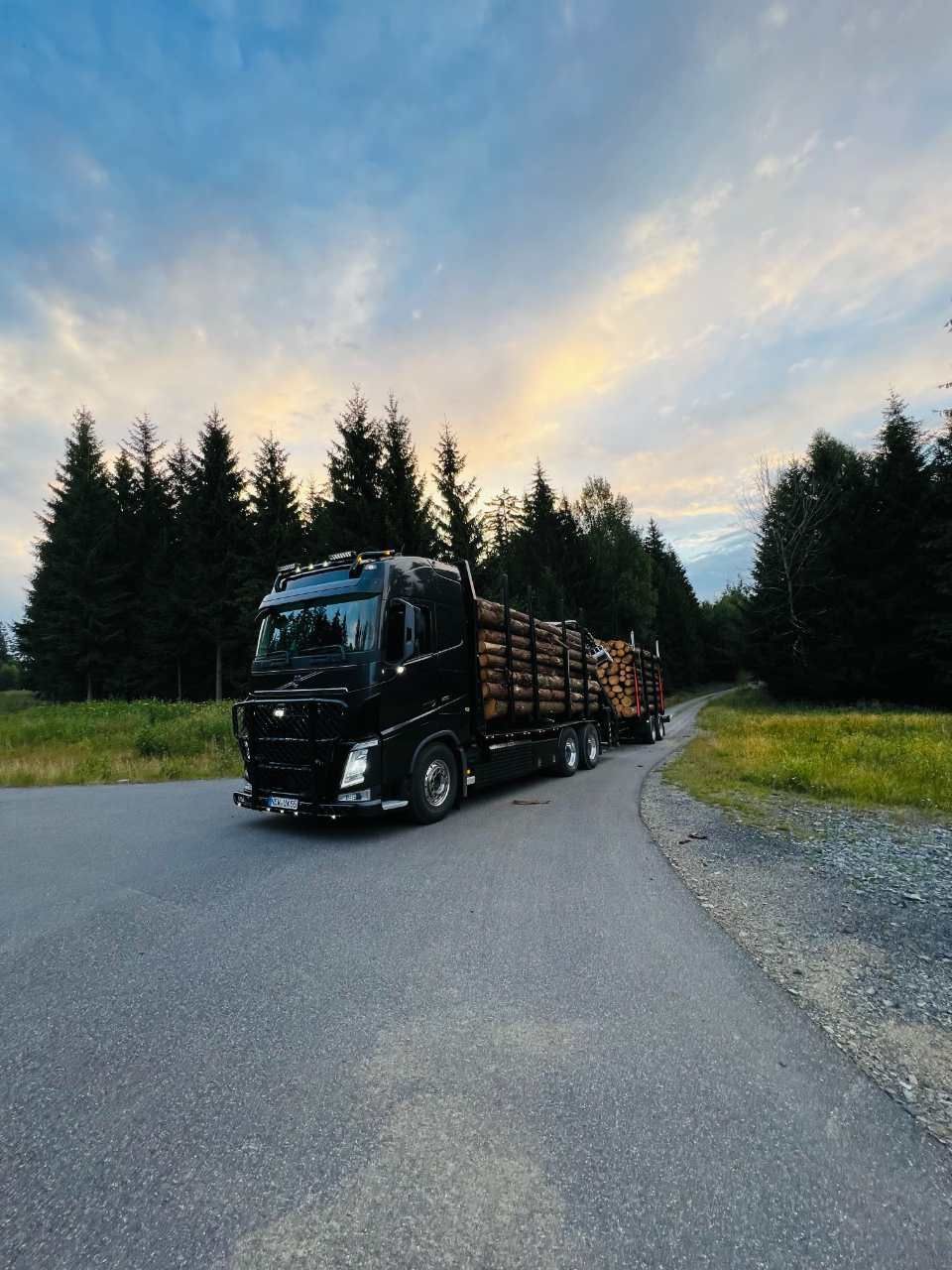 Holz wird mit Lkws transportiert, Anton Reindl Holztransporte und Holzhandel