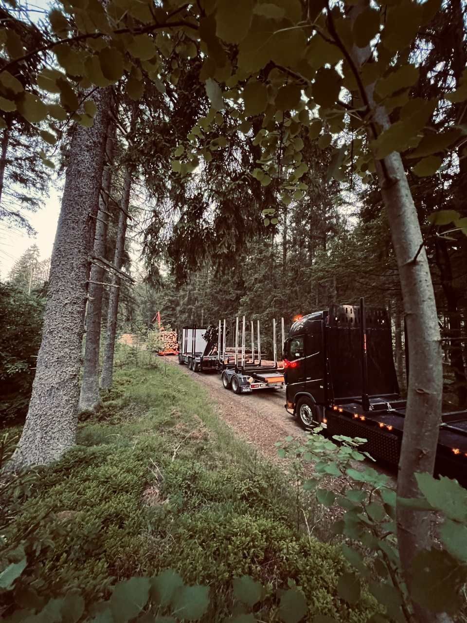 Holz wird mit Lkws transportiert, Anton Reindl Holztransporte und Holzhandel