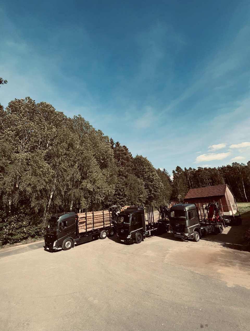 Holz wird mit Lkw transportiert, Anton Reindl Holztransporte und Holzhandel