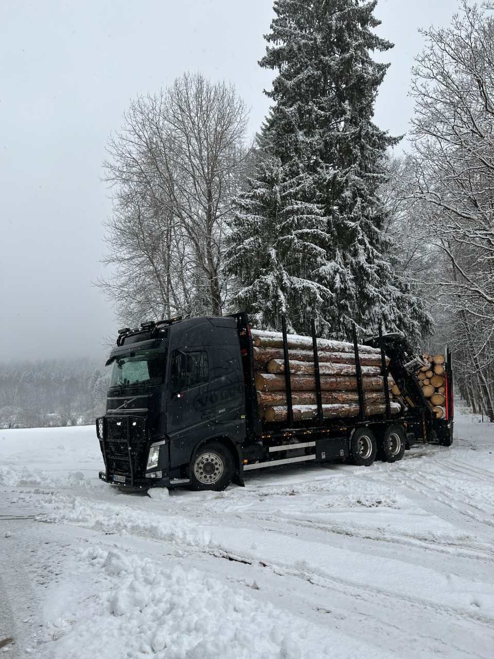 Holz wird mit Lkws transportiert, Anton Reindl Holztransporte und Holzhandel