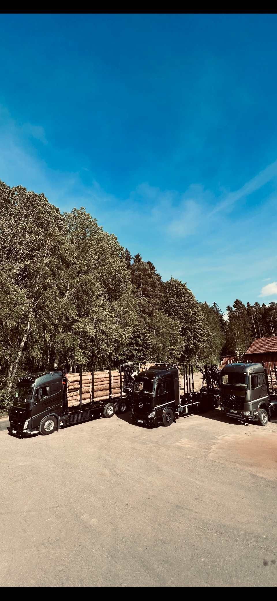 Holz wird mit Lkws transportiert, Anton Reindl Holztransporte und Holzhandel