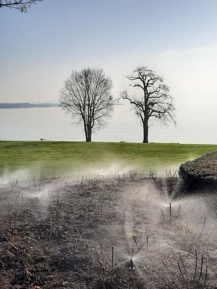 Deux arbres nus sur une butte herbeuse au bord d'un lac calme ; des arroseurs arrosent le premier plan.