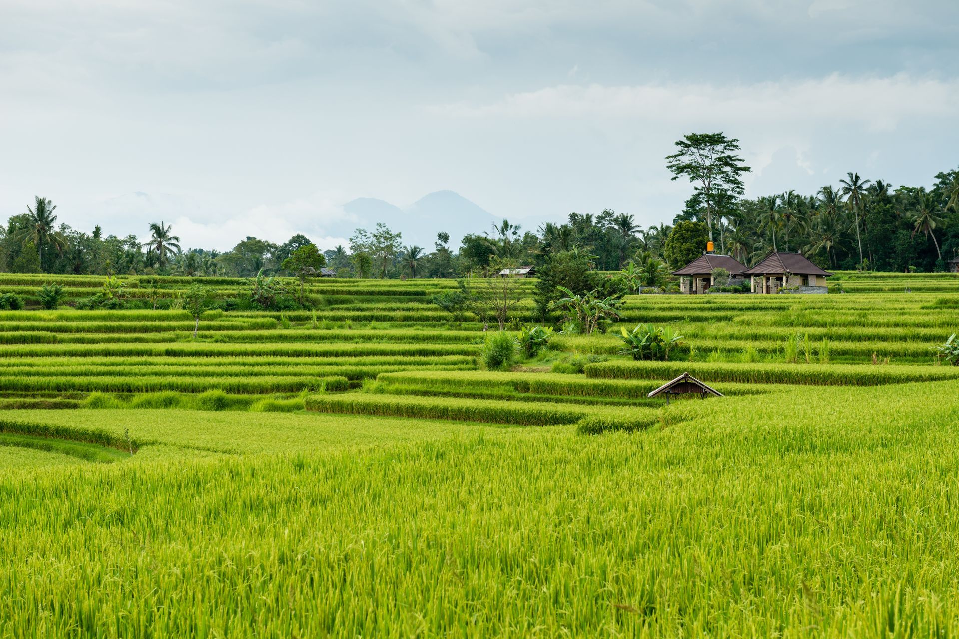Bali’s Traditional Landscapes
