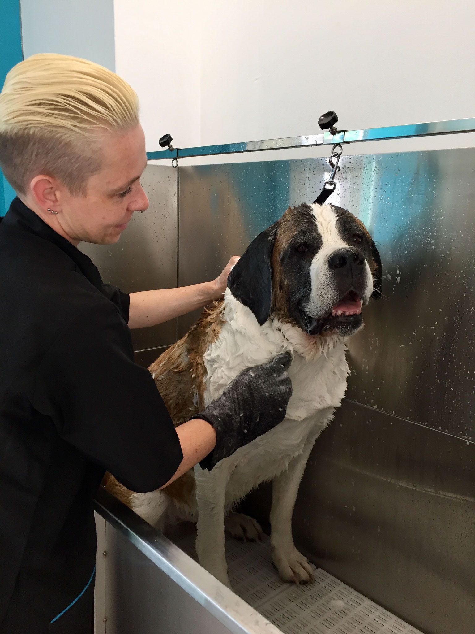Hundesalon Sorriso Rüti ZH - Baden