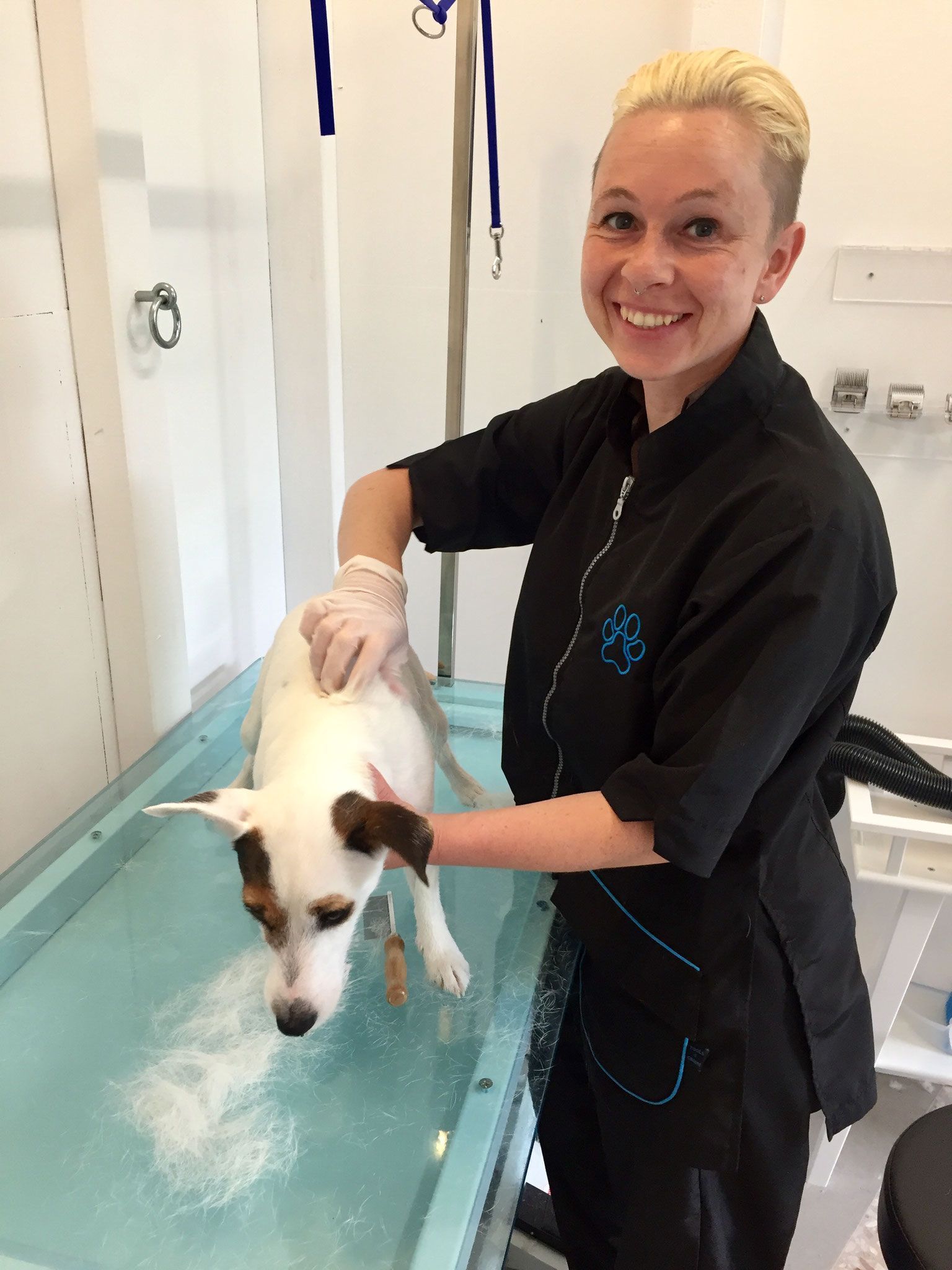 Hundesalon Sorriso Rüti ZH - Trimmen von Hand
