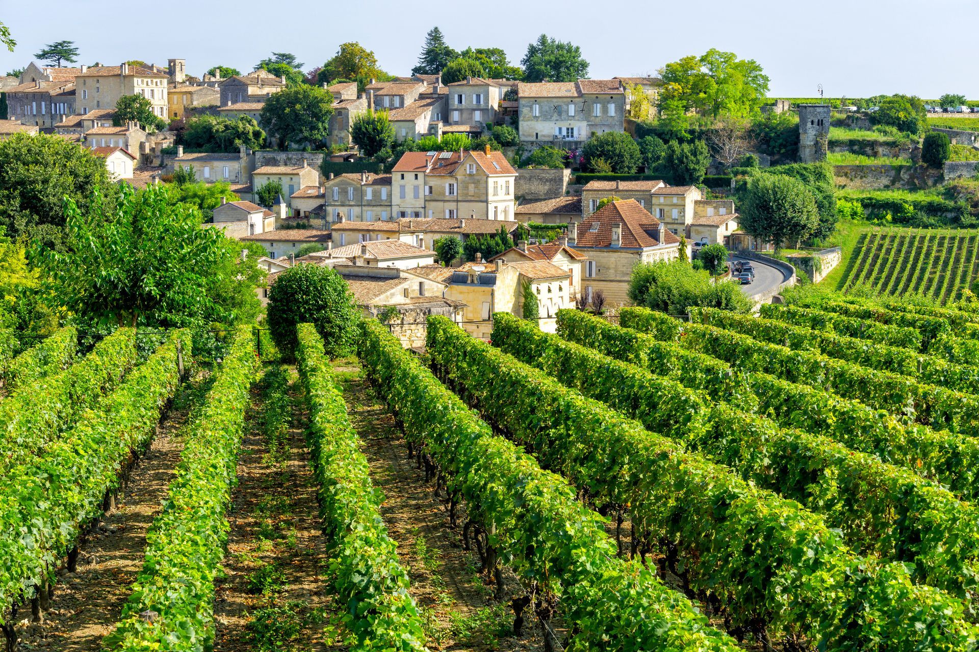 Vignes du village de Saint-Emilion