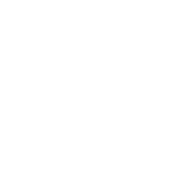 Icon Telefon