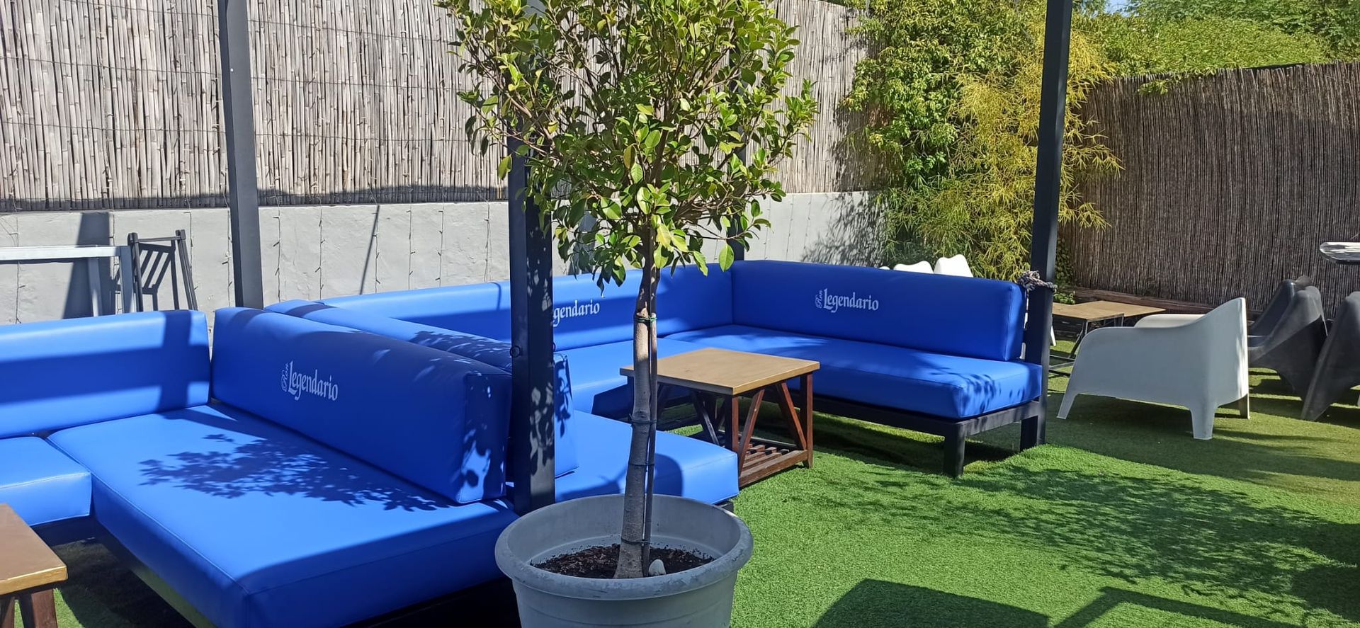 Asientos azules al aire libre alrededor de un árbol en maceta en un patio con césped artificial y mesas.