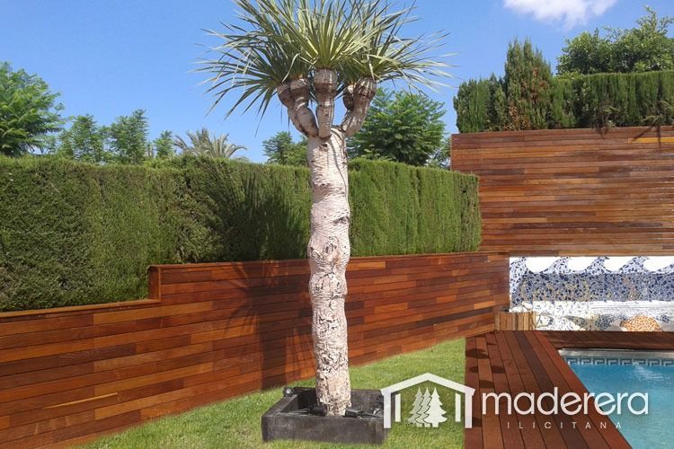 Una gran palmera está delante de una valla de madera.