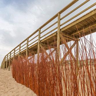 Un puente de madera sobre una playa de arena con una valla en primer plano.