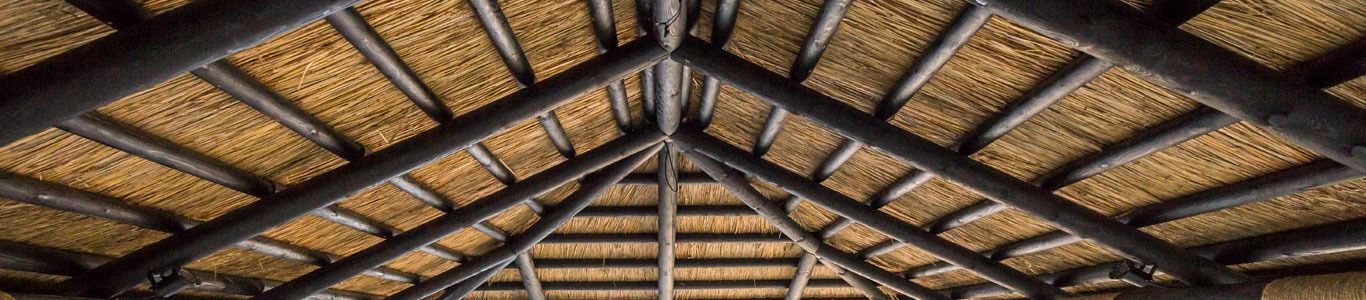 Un primer plano de un techo de paja de un edificio.