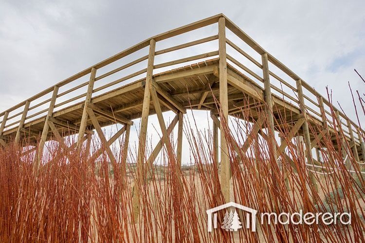 Una terraza de madera está rodeada de hierba alta.